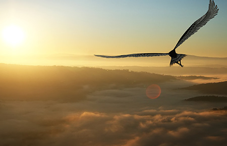 拉斯维加斯(9888)唯一官方网站